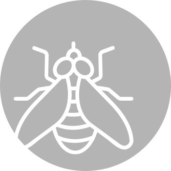 Insektenschutz-Aktion